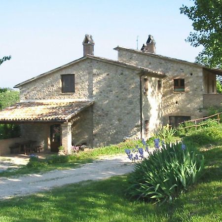 Agriturismo Frallarenza Ficulle Bagian luar foto