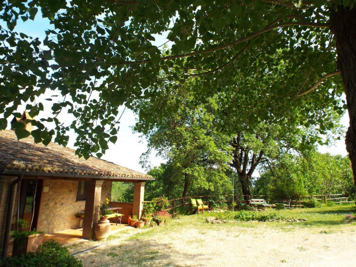 Agriturismo Frallarenza Ficulle Bagian luar foto