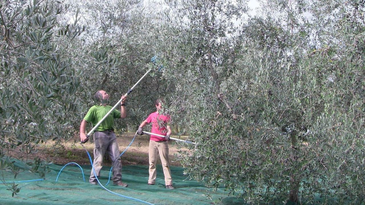 Agriturismo Frallarenza Ficulle Bagian luar foto