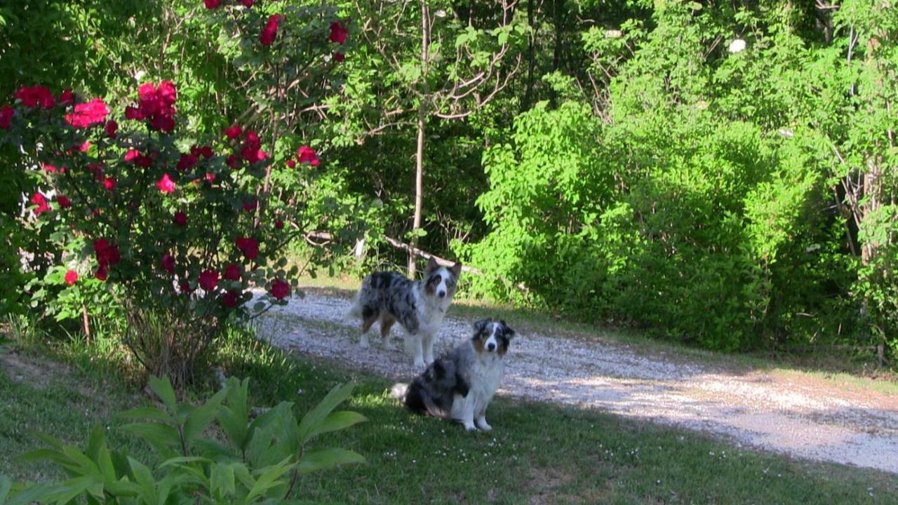 Agriturismo Frallarenza Ficulle Bagian luar foto