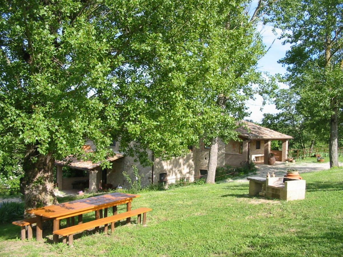 Agriturismo Frallarenza Ficulle Bagian luar foto