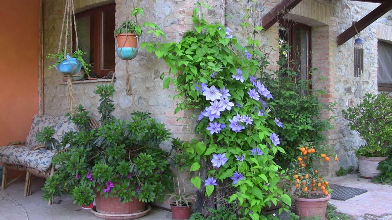 Agriturismo Frallarenza Ficulle Bagian luar foto
